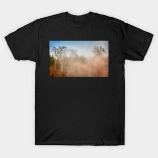 Mountain forest in fog T-Shirt